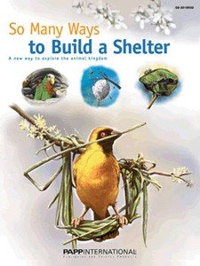 SO MANY WAYS TO BUILD A SHELTER