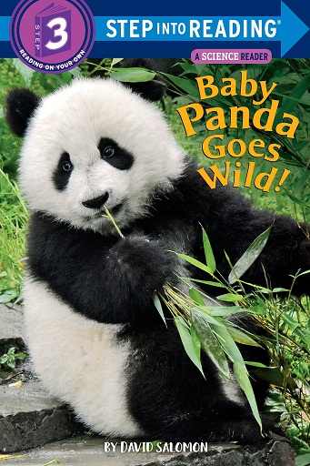 BABY PANDA GOES WILD step 3