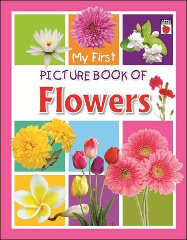 MY FIRST PICTURE BOOK OF flowers flash cards
