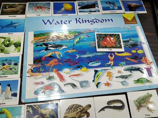 WATER KINGDOM  sunrisers