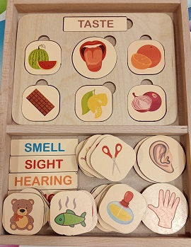 WOODEN OUR FIVE SENSES