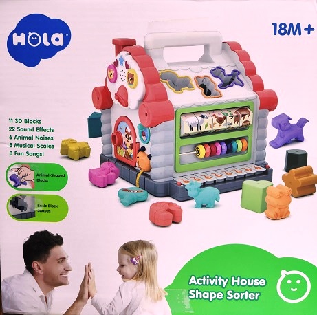 ACTIVITY HOUSE SHAPE SORTER