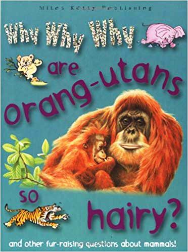 WHY WHY WHY ARE ORANG UTANS SO HAIRY