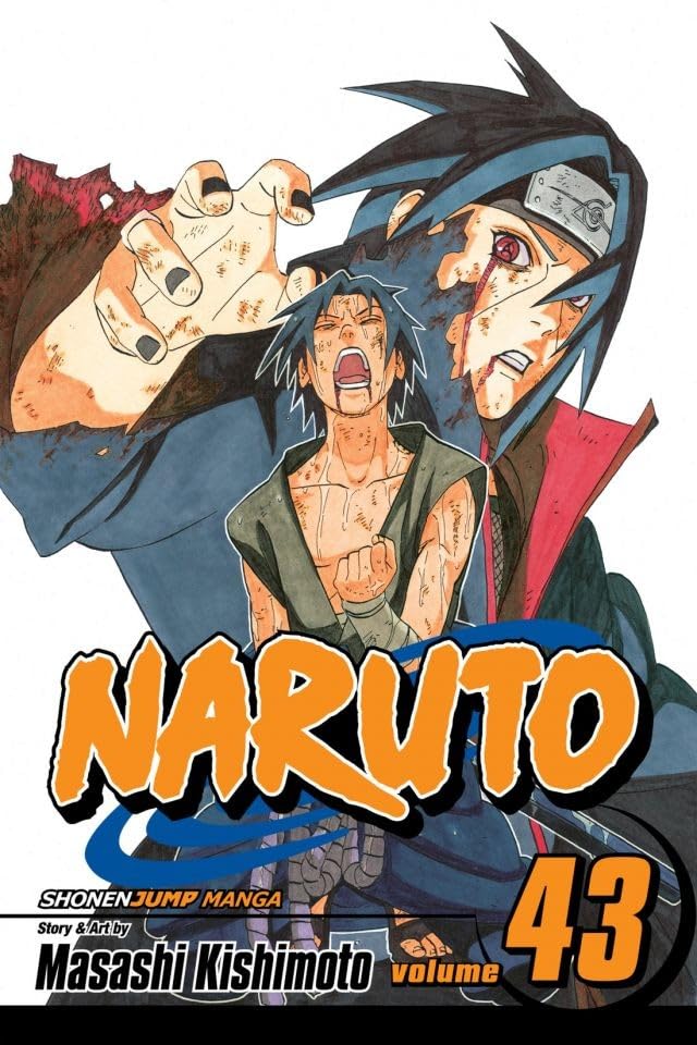 NARUTO 43