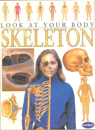 LOOK AT YOUR BODY SKELETON