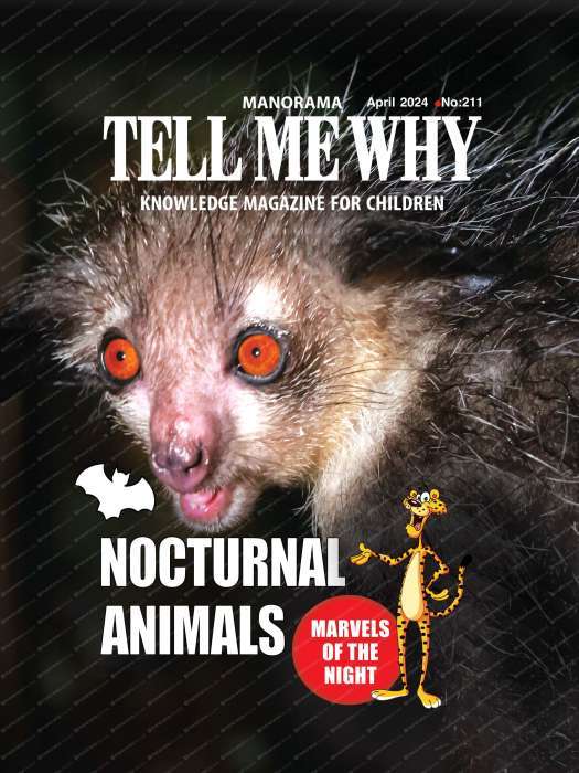 NO 211 TELL ME WHY nocturnal animals