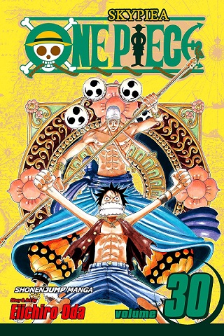 ONE PIECE 30