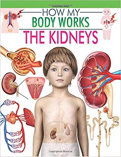 HOW MY BODY WORKS the kidneys