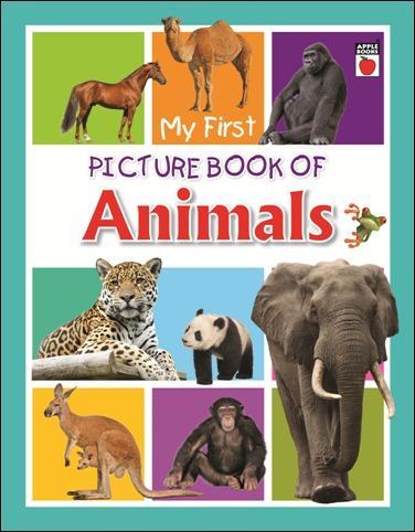 MY FIRST PICTURE BOOK OF animals flash cards