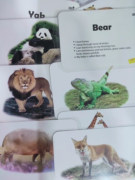 HUNGRY BRAIN ABC ANIMALS flash cards