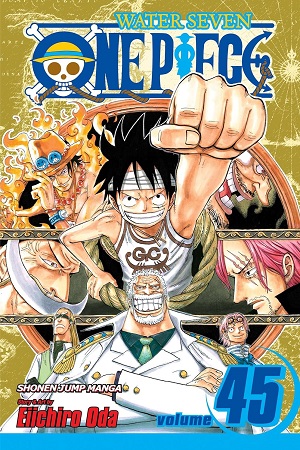 ONE PIECE 45