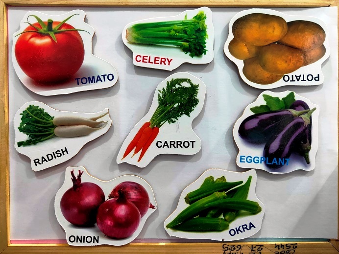 MAGNETIC VEGTABLES