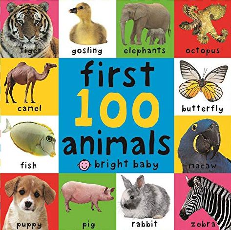 FIRST 100 ANIMALS FIRST WORDS