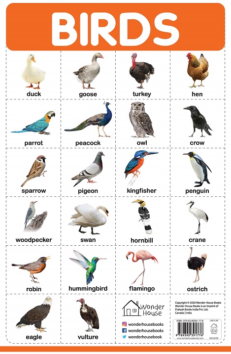 BIRDS chart