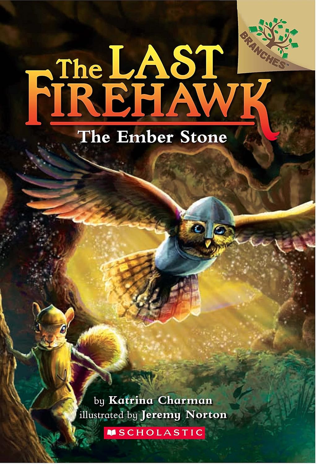 THE EMBER STONE 01
