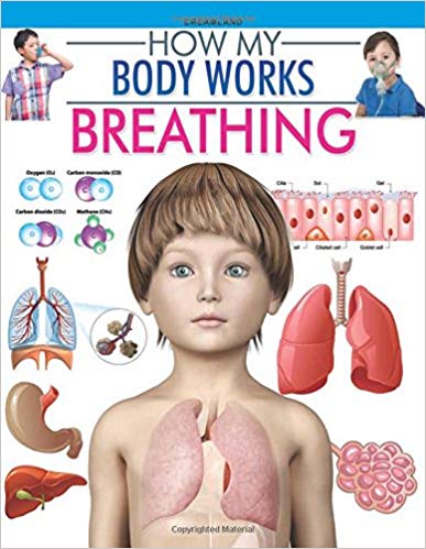 HOW MY BODY WORKS breathing