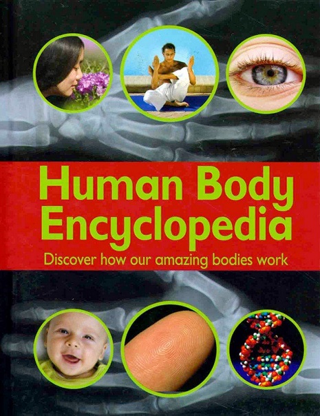 HUMAN BODY ENCYCLOPEDIA