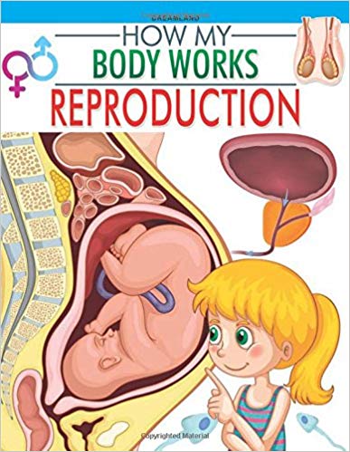 HOW MY BODY WORKS reproduction