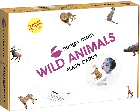 HUNGRY BRAIN WILD ANIMALS flash cards