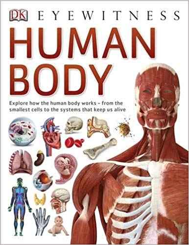 HUMAN BODY eyewitness dk