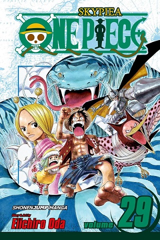 ONE PIECE 29