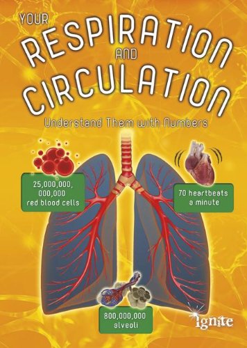 YOUR RESPIRATION AND CIRCULATION