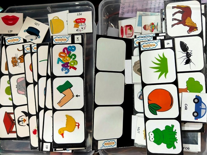 PHONIC TASK CARDS