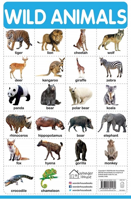 WILD ANIMALS chart