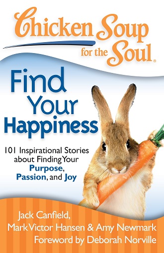 CHICKEN SOUP FOR THE SOUL find your happiness