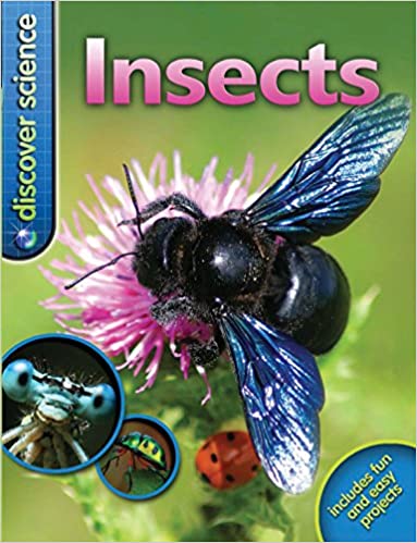 INSECTS