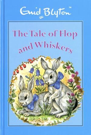 THE TALE OF FLOP AND WHISKERS 