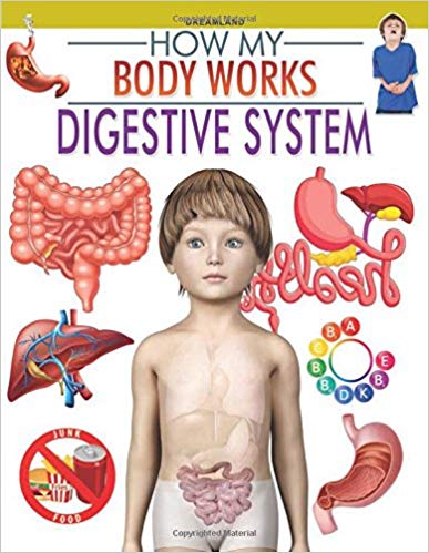 HOW MY BODY WORKS digestive system