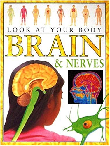 LOOK AT YOUR BODY BRAIN & NERVES