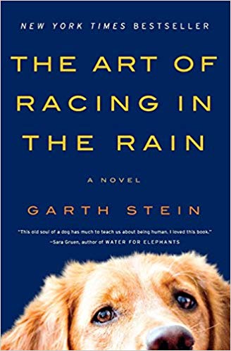 THE ART OF RACING IN THE RAIN