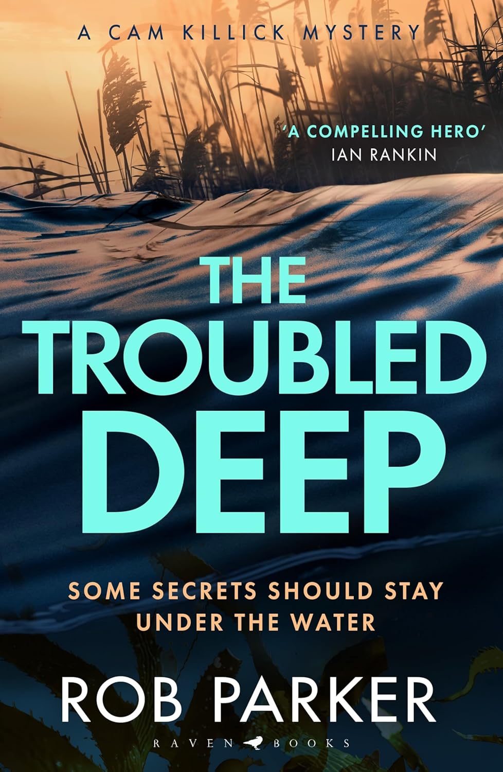 THE TROUBLED DEEP