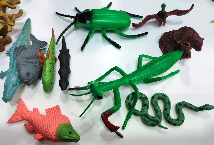 INSECT AND AQUARAL WORLD