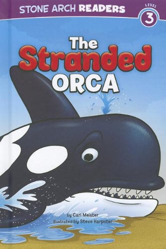 THE STRANDED ORCA Level 3