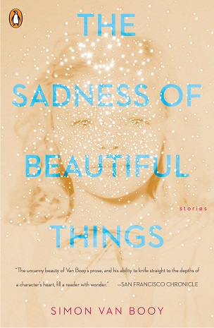 THE SADNESS OF BEAUTIFUL THINGS