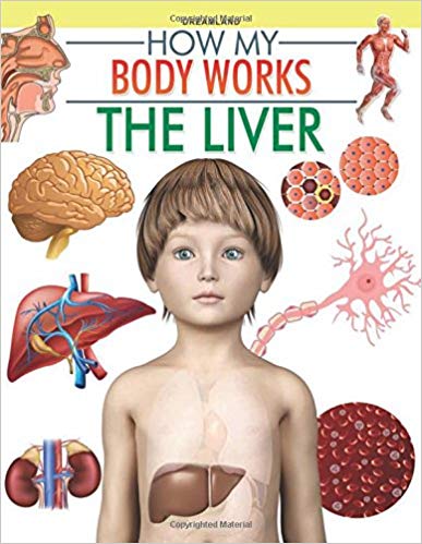 HOW MY BODY WORKS the liver