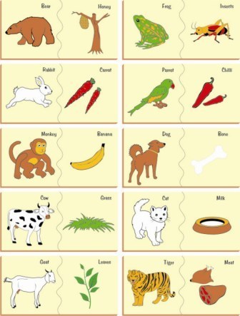 WOODEN ANIMALS AND THEIR FOOD